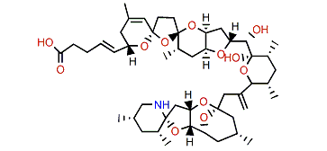 8-Methyl-azaspiracid
